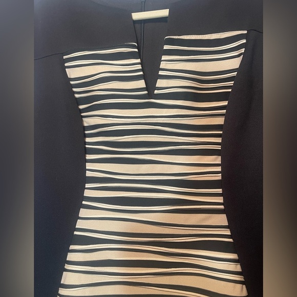 Connected Apparel ,Elegant Black and Cream Dress - Picture 2 of 5